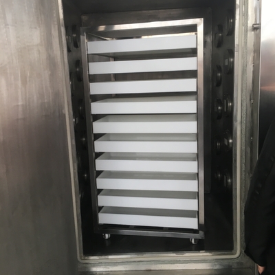 Biomassa più asciutta Bud Microwave Vacuum Drying Oven di bassa temperatura del fiore commerciale della canapa