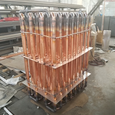 Essiccatore dell'oloturia della frutta della macchina della liofilizzazione di vuoto della medicina di erbe