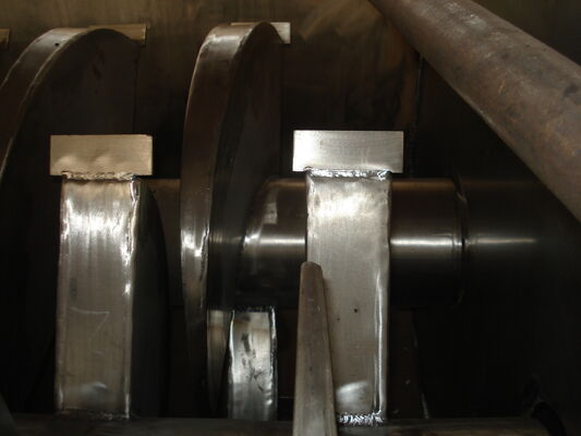 Essiccatore a pale con albero cavo per fanghi orizzontale a risparmio energetico