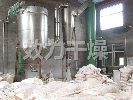 Macchina/attrezzatura per asciugatura flash rotativa XSG-8 Concisa e di grande impatto