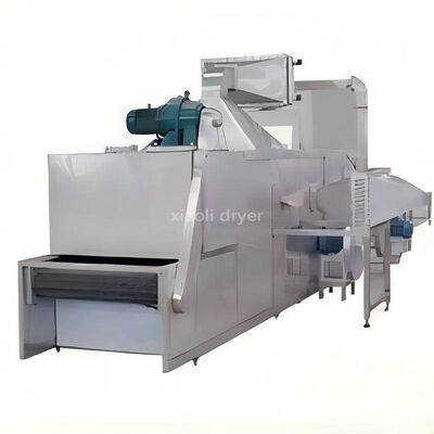 DW serie mono strato continuo mesh cintura asciugatrice macchina di asciugatura industriale per la disidratazione degli alimenti