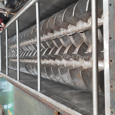 essiccatore a pale cave per la lavorazione degli alimenti Attrezzatura industriale altamente efficiente