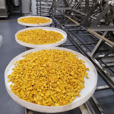 Asciugatrice industriale dell'alimento dell'ortaggio da frutto di microonda dell'essiccatore commerciale di vuoto