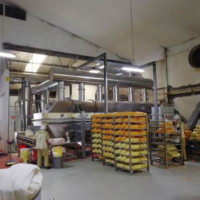 impianto di essiccazione farmaceutico orizzontale del prodotto chimico di essiccatore del letto fluido di vibrazione 450V