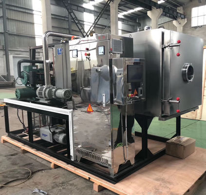 Essiccatore dell'oloturia della frutta della macchina della liofilizzazione di vuoto della medicina di erbe