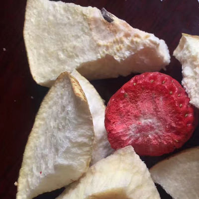 Essiccatore dell'oloturia della frutta della macchina della liofilizzazione di vuoto della medicina di erbe