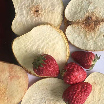 Patata Chips Drying Machine dello SpA dell'essiccatore di gelata di vuoto della giaca della fragola del yogurt