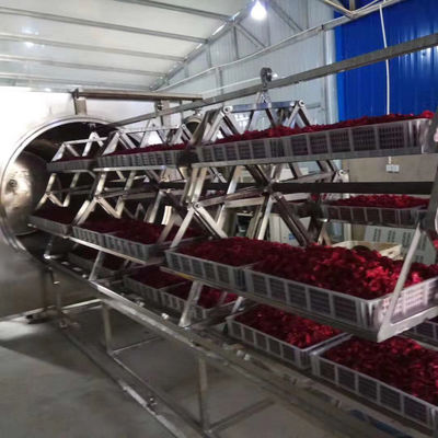 forno di essiccazione della frutta di acciaio inossidabile del disidratatore 304 di vuoto di microonda 38.4-48kg/H