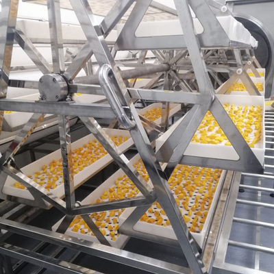 Forno più asciutto del disidratatore del mango dell'ananas di vuoto commerciale di microonda 24KW
